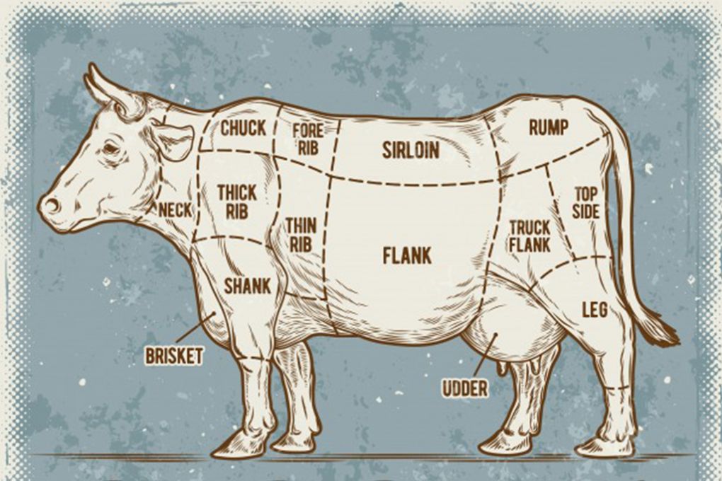 Dananın Hangi Bölümlerinden Hangi Et Çıkar