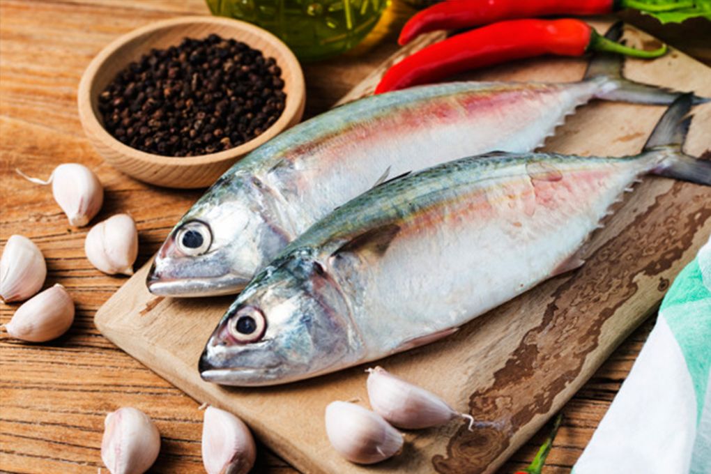 Mevsimine Göre Balık Seçimi