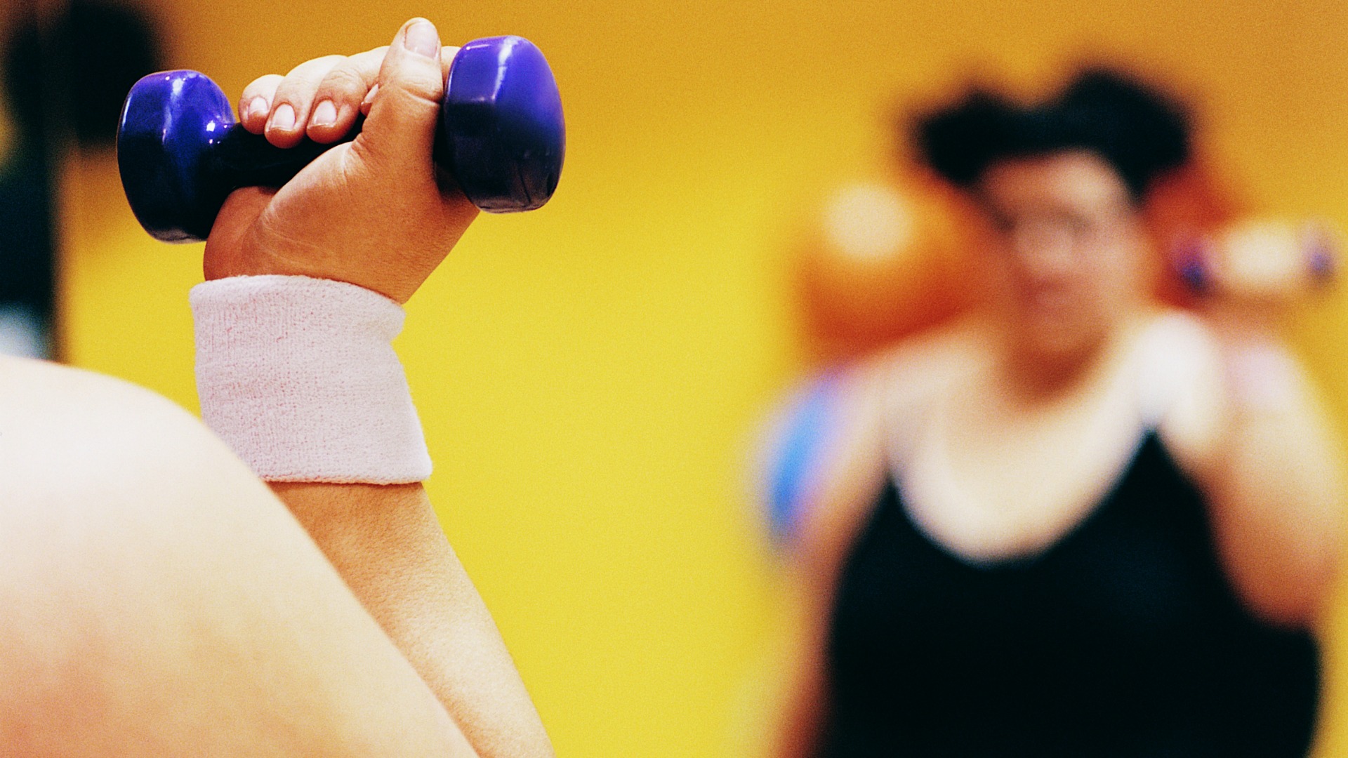 Çörek Otu VS Susam