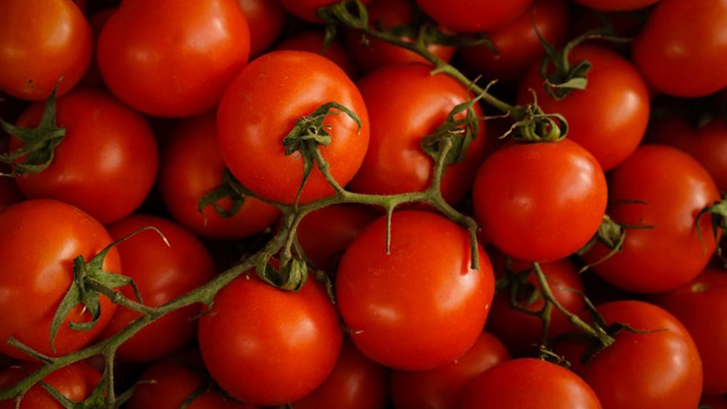 Yaz Mevsimi Biterken Son Hazırlıklar: Hangi Meyve ve Sebzeleri Kurutabilirsiniz?