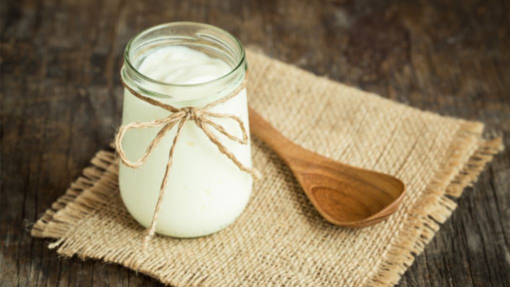 Bebekler İçin Labne Peyniri