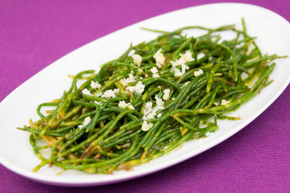 Deniz Börülcesi Salatası