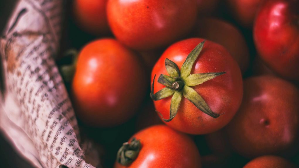 Kışın Kurtarıcısı: Kışlık Domates Sos